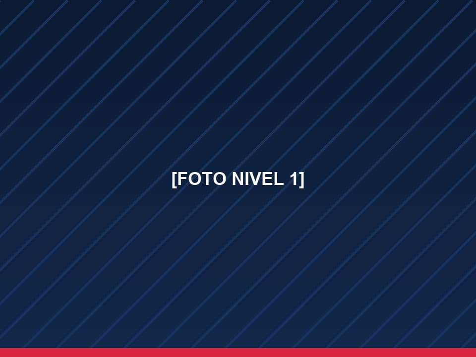 [Describir la foto del nivel Minirider]